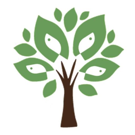 合肥鱼树心理咨询有限公司